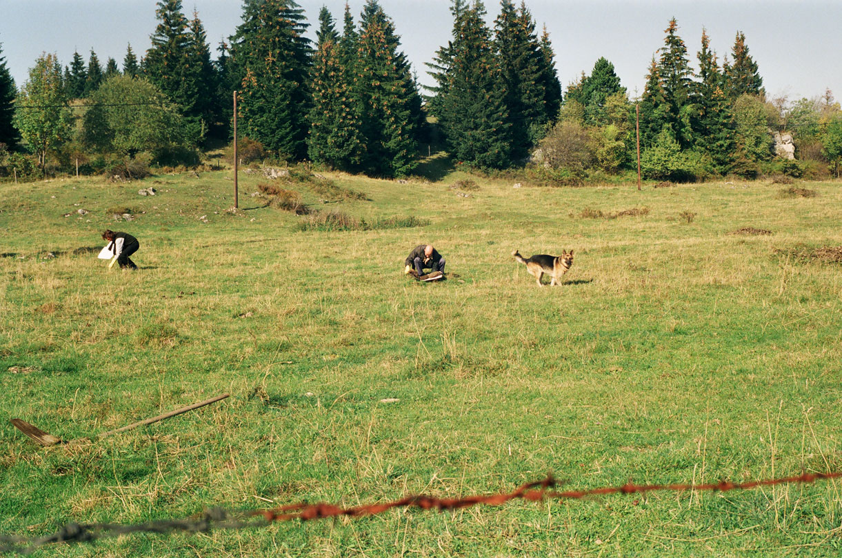 Hodel/Schumacher/Clavadetscher